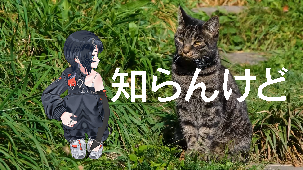 『知らんけど』歌ってみたのサムネイル画像